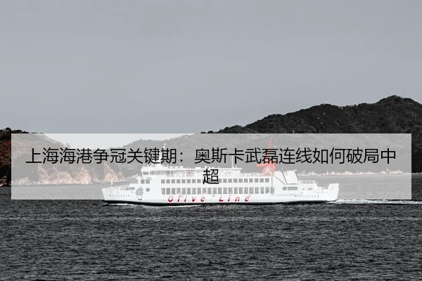 shang-hai-hai-gang-zheng-guan-guan-jian-qi-ao-si-ka-wu-lei-lian-xian-ru-he-po-ju-zhong-chao-3-230.jpg
